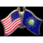 NEW HAMPSHIRE PIN STATE FLAG USA FRIENDSHIP FLAGS PIN